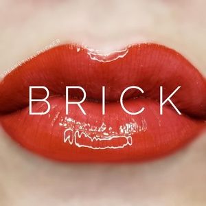 SeneGence LipSense Brick new and sealed